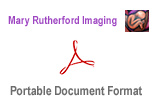 download this PDF download this PDF